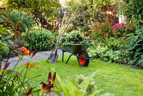 Garden-Maintaining-services